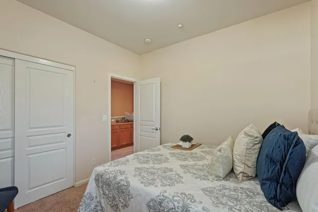 a bedroom with a bed and a closet