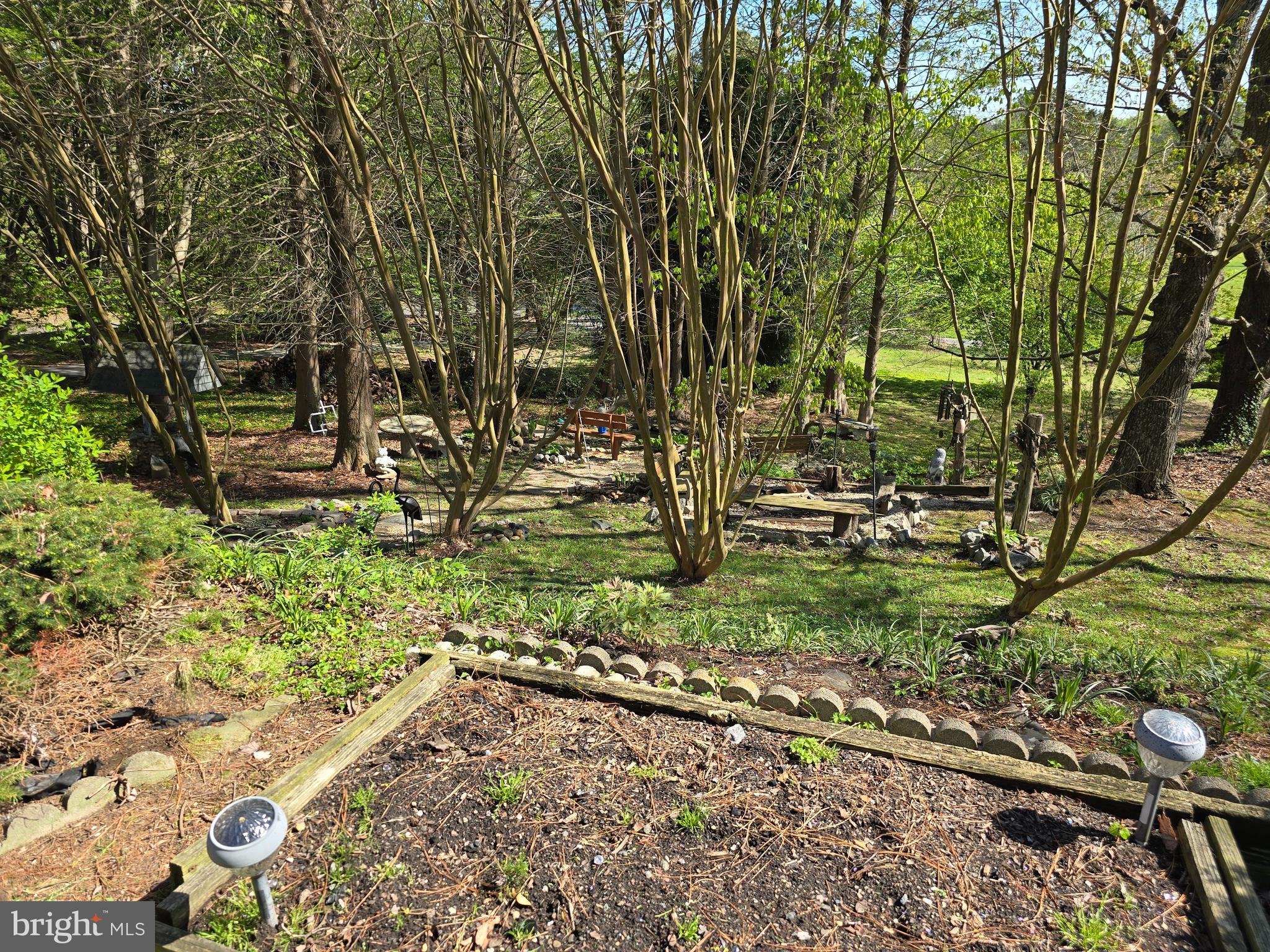 18631 Cherryfield Road Drayden, MD 20630 - Photo 42 of 45 a view of backyard