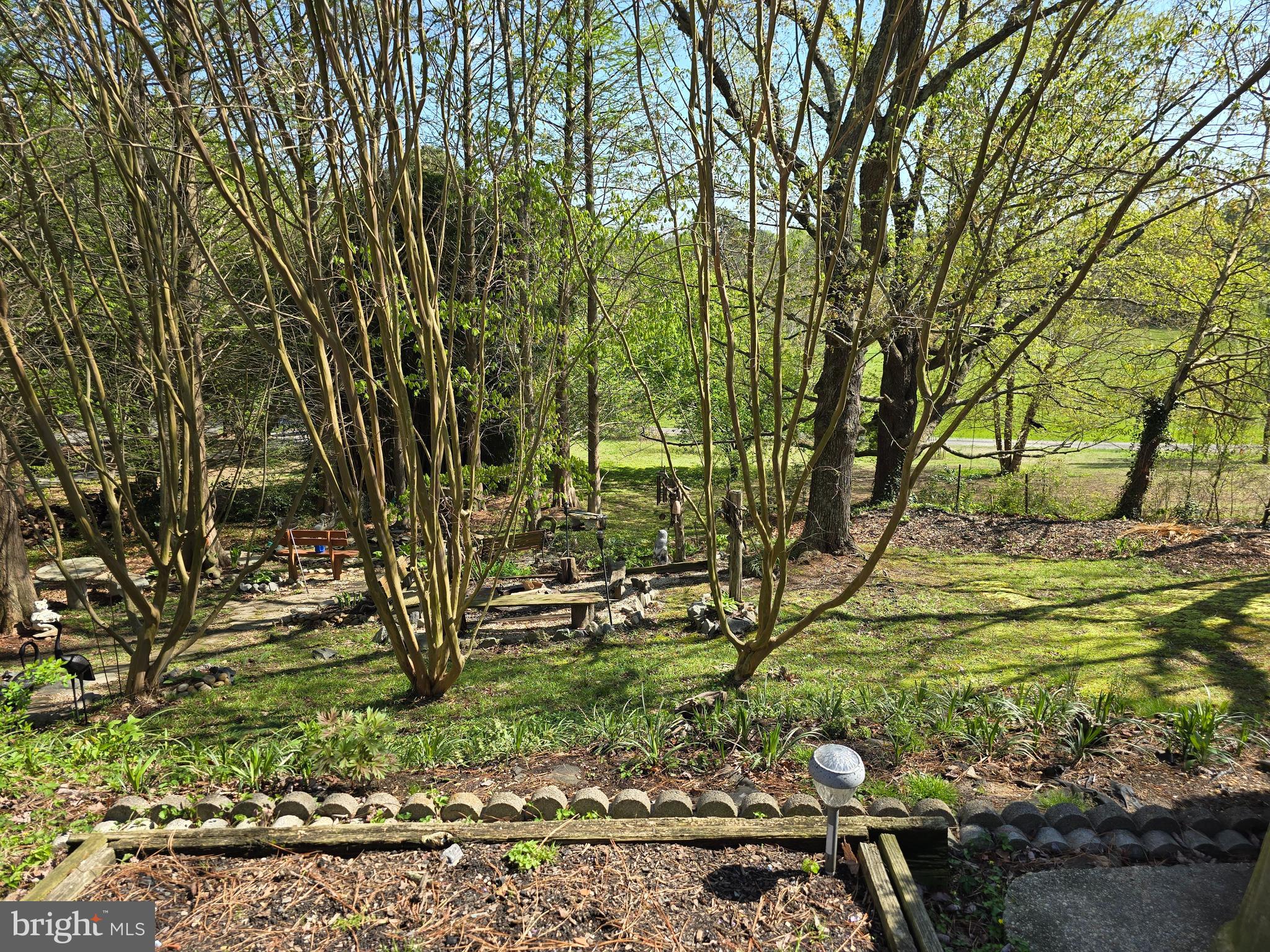 18631 Cherryfield Road Drayden, MD 20630 - Photo 43 of 45 a view of a yard with a tree