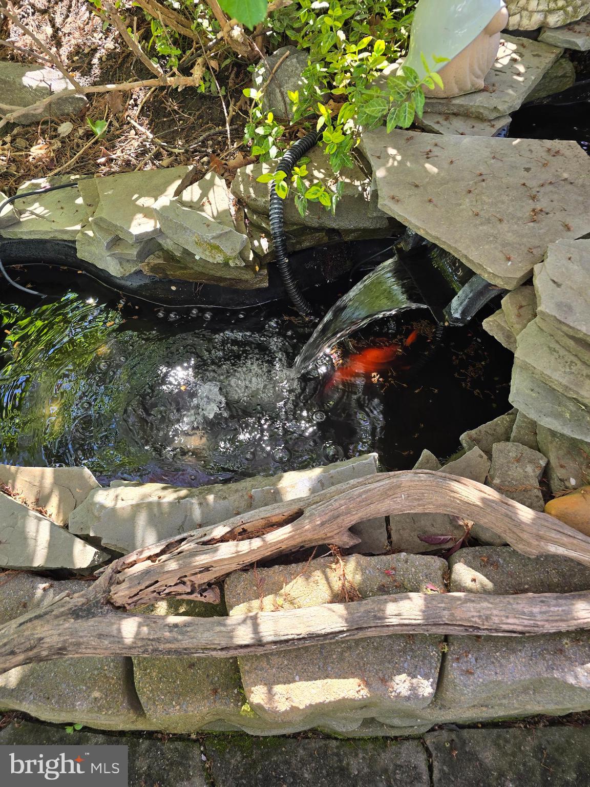 18631 Cherryfield Road Drayden, MD 20630 - Photo 45 of 45 a view of a backyard of the house