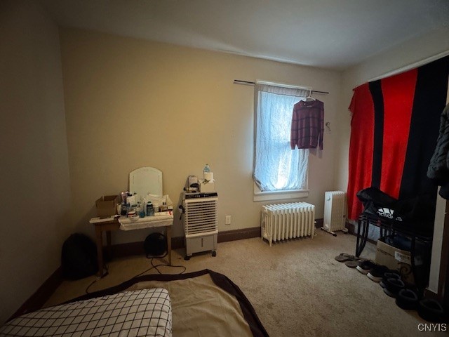 96 Pendleton Street Cortland, NY 13045 - Photo 17 of 18