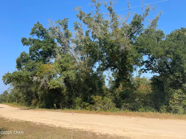 $12,000 | 0 Union Drive, Alford, FL 32420