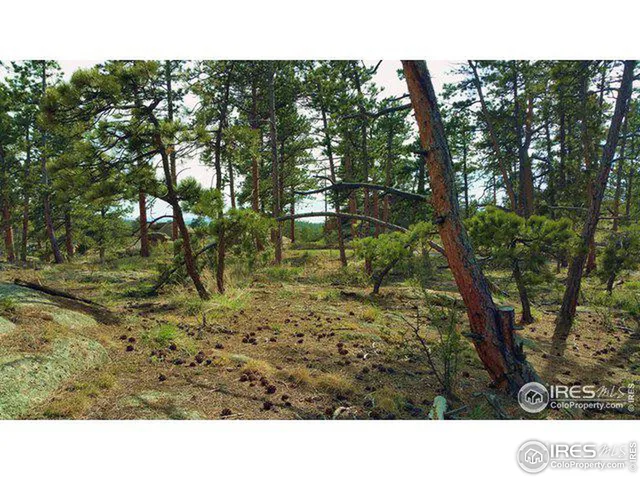 $30,000 | 3000 Fox Acres Drive East, Red Feather Lakes, CO 80545