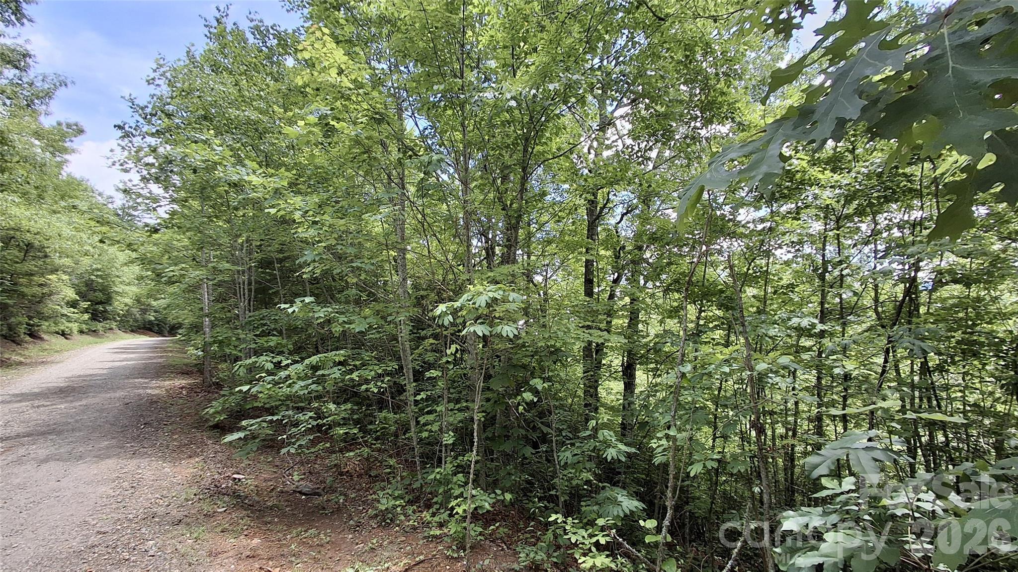 Lot 29 Signal Ridge, Unit 29 Sylva, NC 28779 - Photo 11 of 12