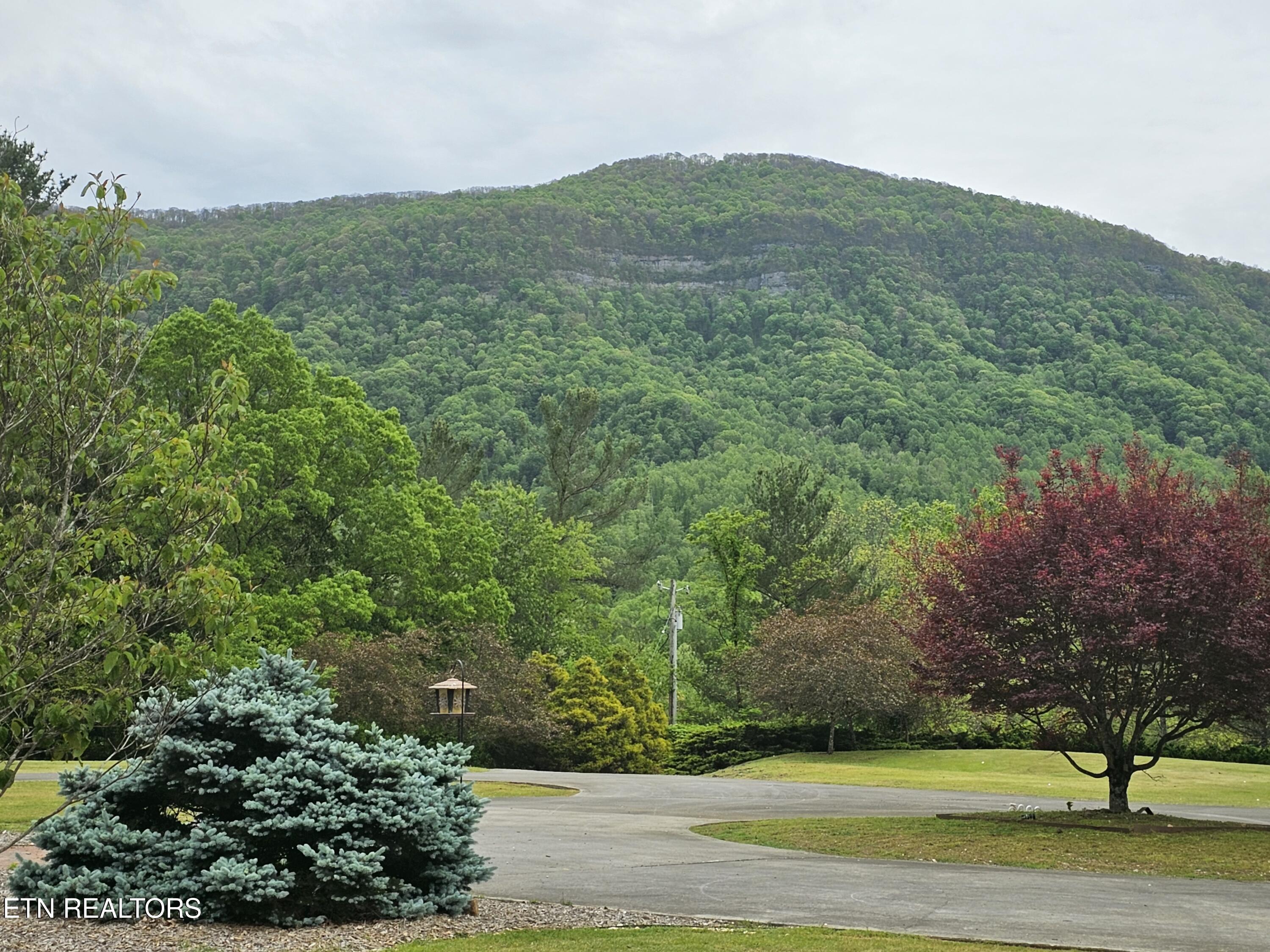 6005 Powell Valley Road Big Stone Gap, VA 24219 - Photo 55 of 55 20250507_170029