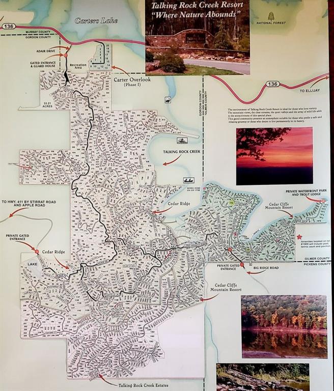 865 Bolster Lane Northeast Ranger, GA 30734 - Photo 5 of 6