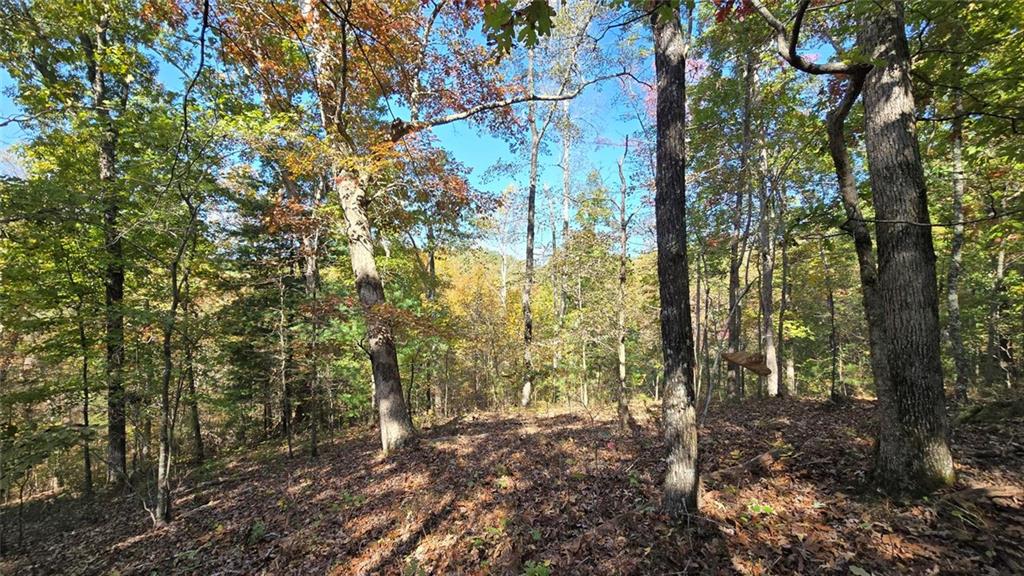 865 Bolster Lane Northeast Ranger, GA 30734 - Photo 6 of 6