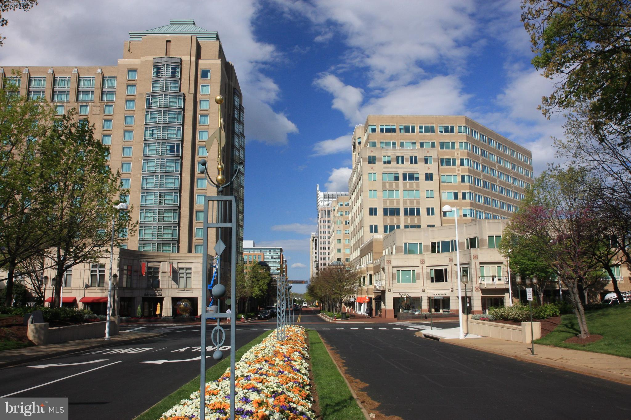1668 Chimney House Road Reston, VA 20190 - Photo 29 of 29 Reston Town Center for Shops, Restaurants, Movies