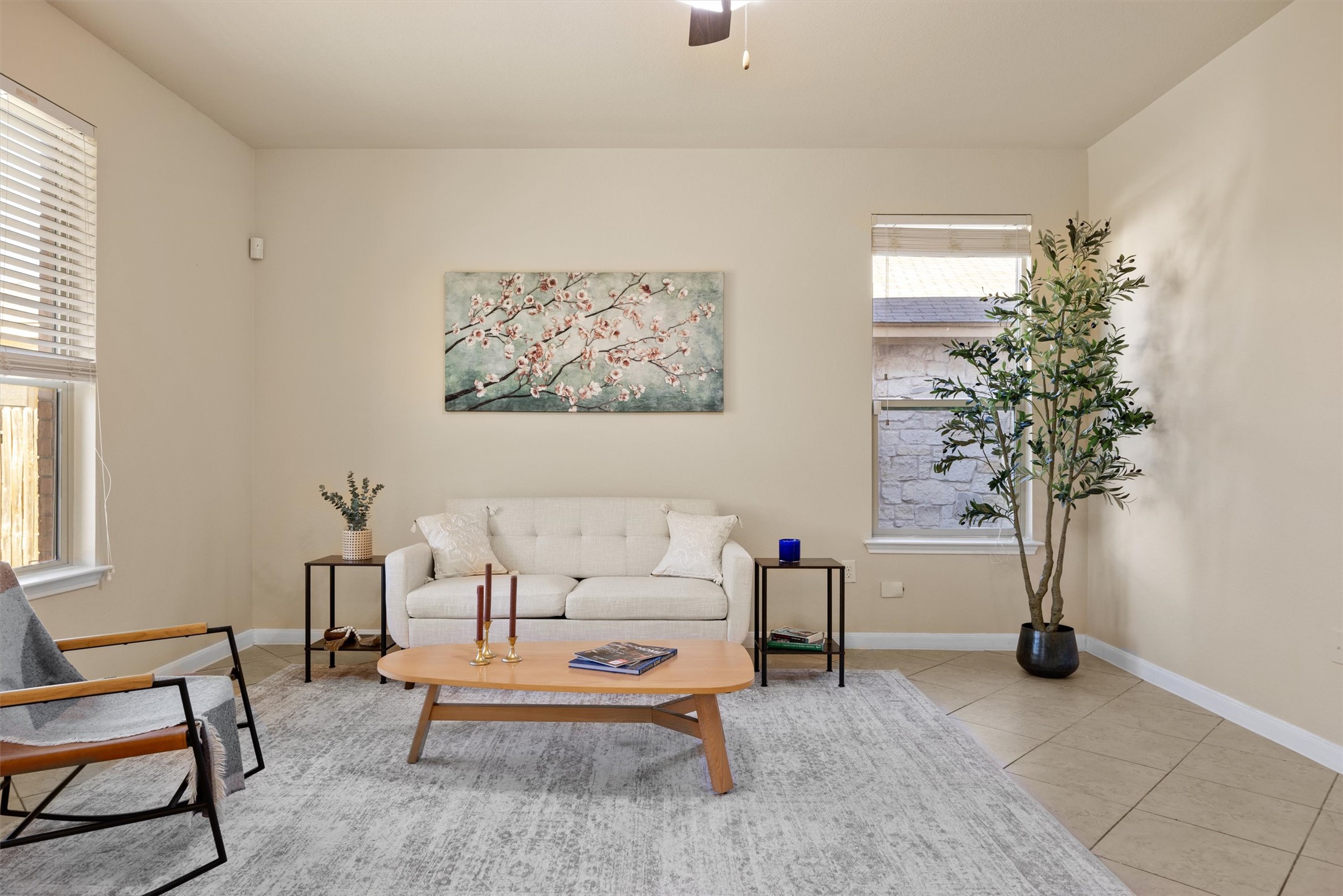 18120 Moreto Loop Pflugerville, TX 78660 - Photo 2 of 29 a living room with furniture and a potted plant