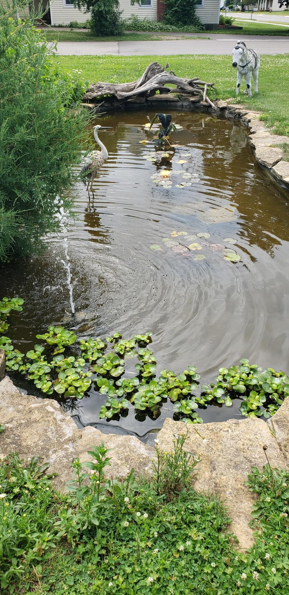 284 Elm Street South Prescott, WI 54021 - Photo 35 of 38