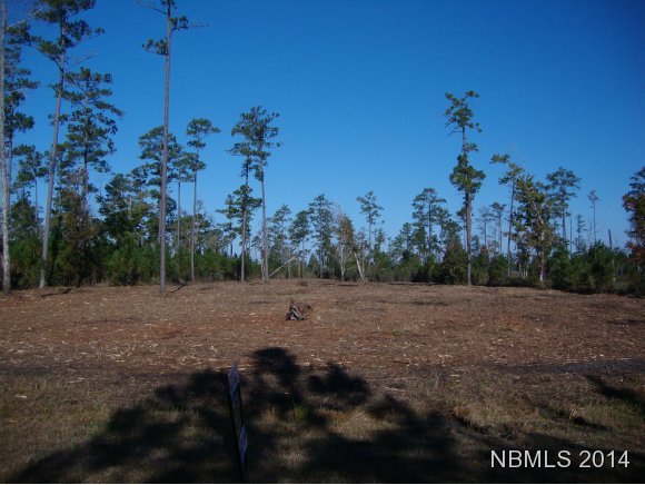 175 Timber Point Drive Merritt, NC 28556 - Photo 1 of 1 Primary Photo