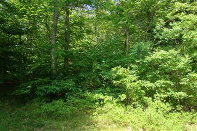 104 Pimlico Pond Road Mashpee, MA 02649 - Photo 3 of 4 Additional Photo