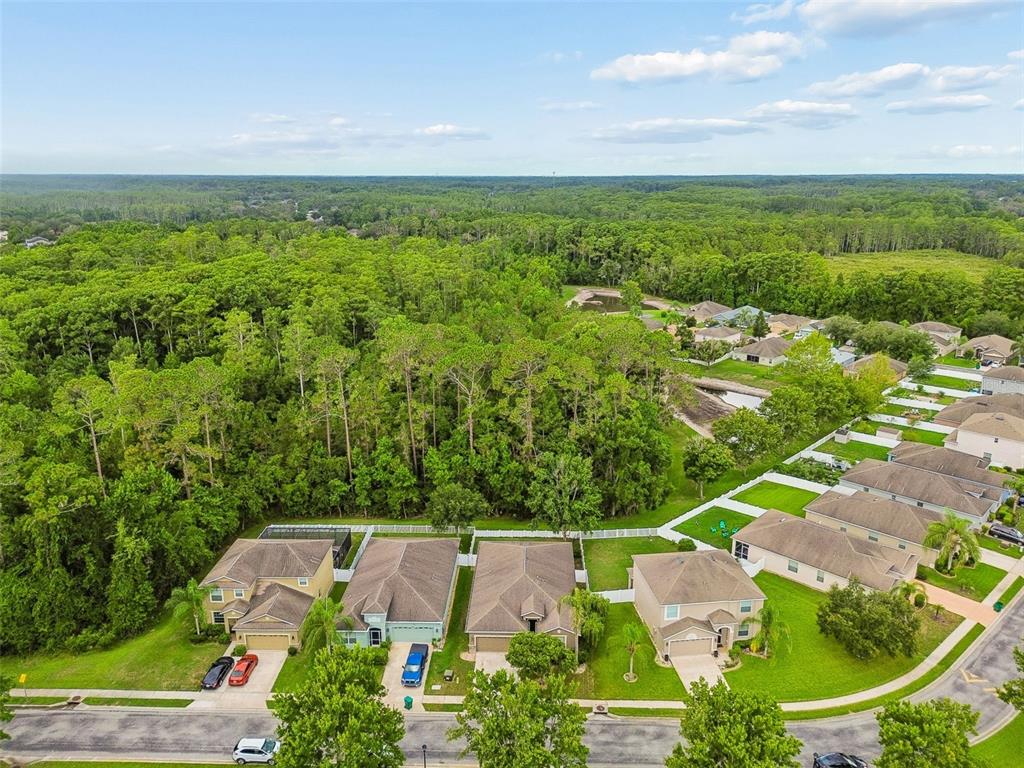 12815 White Bluff Road Hudson, FL 34669 - Photo 65 of 65