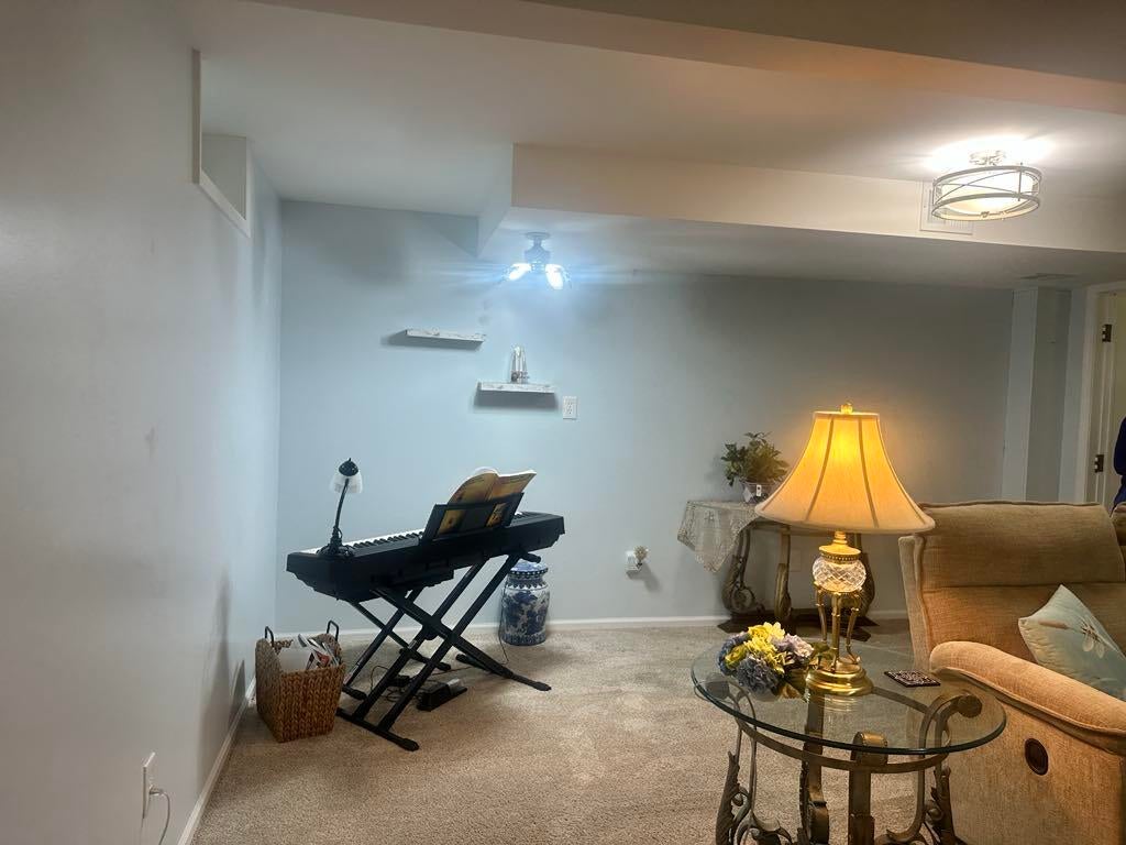 110 Minton Road Ossineke, MI 49766 - Photo 46 of 65 lower level