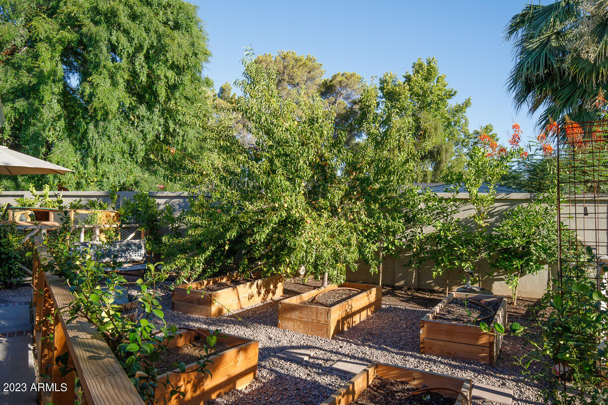 201 West Lamar Road Phoenix, AZ 85013 - Photo 46 of 51 Garden