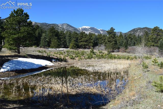 8500 Park Road Rye, CO 81069 - Photo 9 of 28 Gallery Image 9