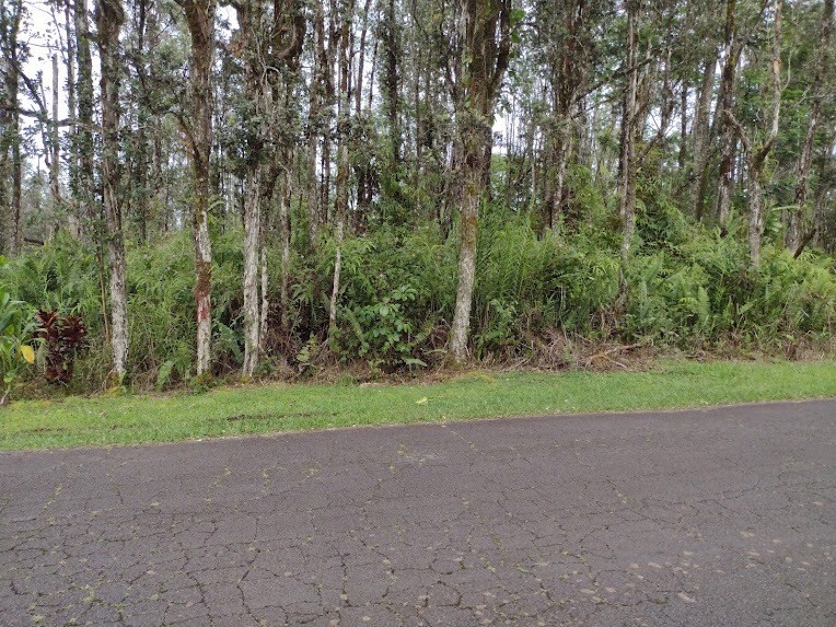 40 Seaview Road Pahoa, HI 96778 - Photo 1 of 12 Gallery Image 1