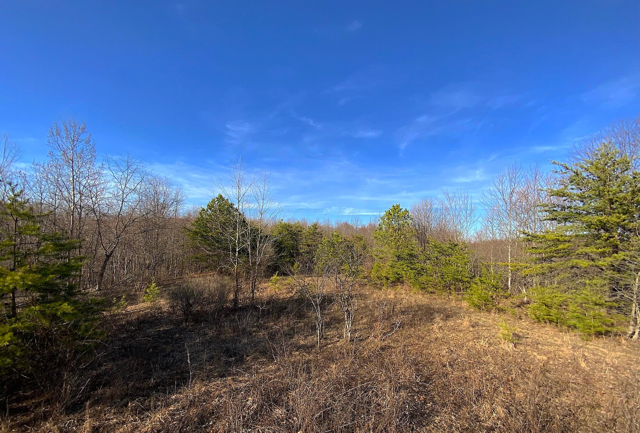 0 Kelly Road Ray, OH 45672 - Photo 43 of 46 Vinton County Kelly Rd 42