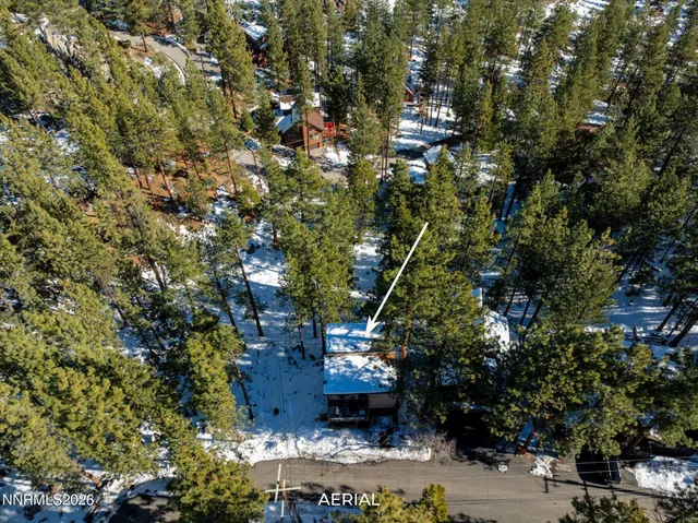 a view of a city with large trees