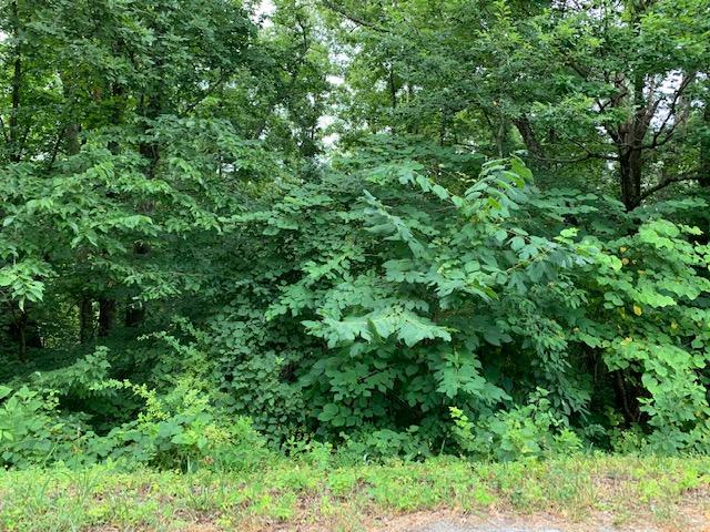 Lot 28 Booker Road Maynardville, TN 37807 - Photo 1 of 1 Lot 28