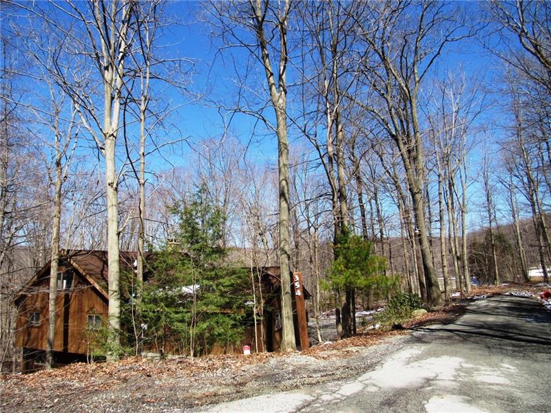 354 Lake Road Somerset, PA 15502 - Photo 25 of 25 If you look down Lake Road you can see the snow on the North Summit ski slope. This is the last house on the road.