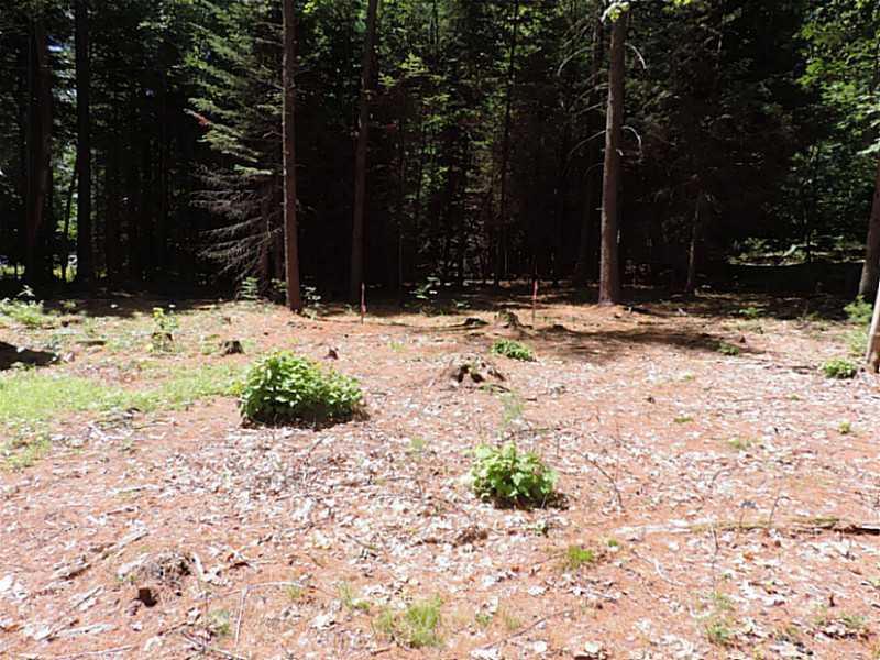 Land/Lot.