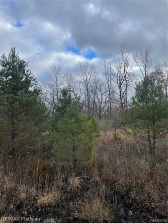 $99,000 | 0 Seymour Road, Gaines, MI 48436