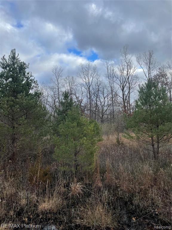 0 Seymour Road Gaines, MI 48436 - Photo 1 of 5