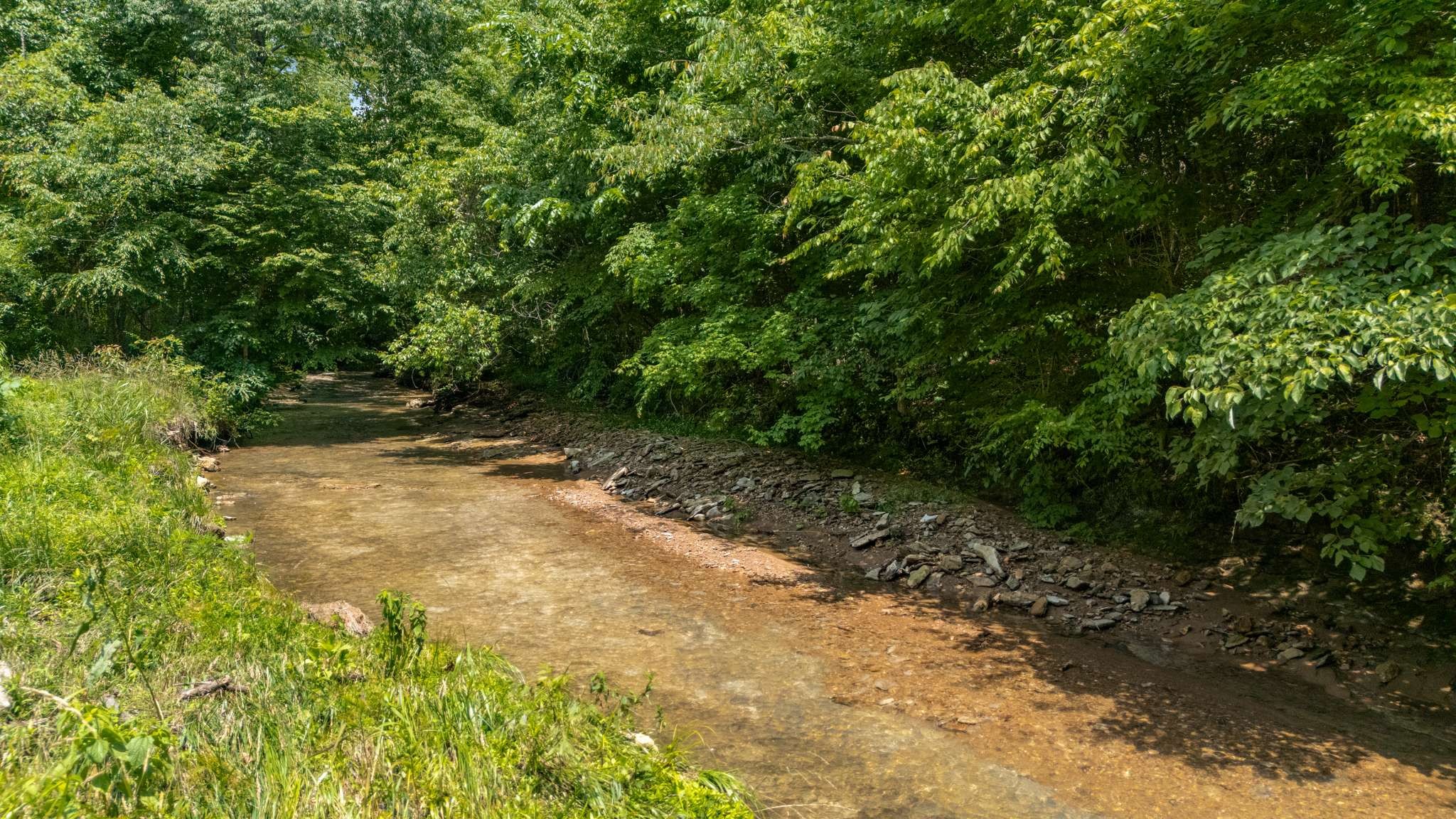 7811 Lampley Road Primm Springs, TN 38476 - Photo 54 of 69 Gallery Image 54