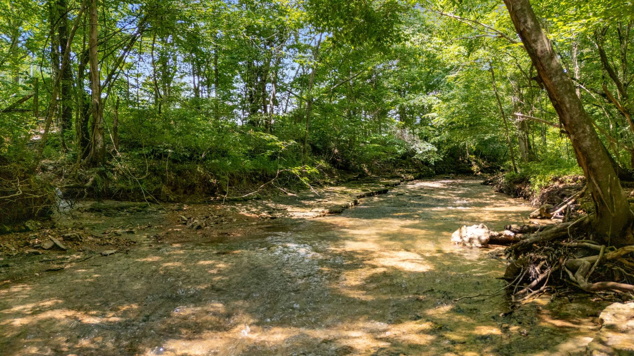 7811 Lampley Road Primm Springs, TN 38476 - Photo 56 of 69 Gallery Image 56