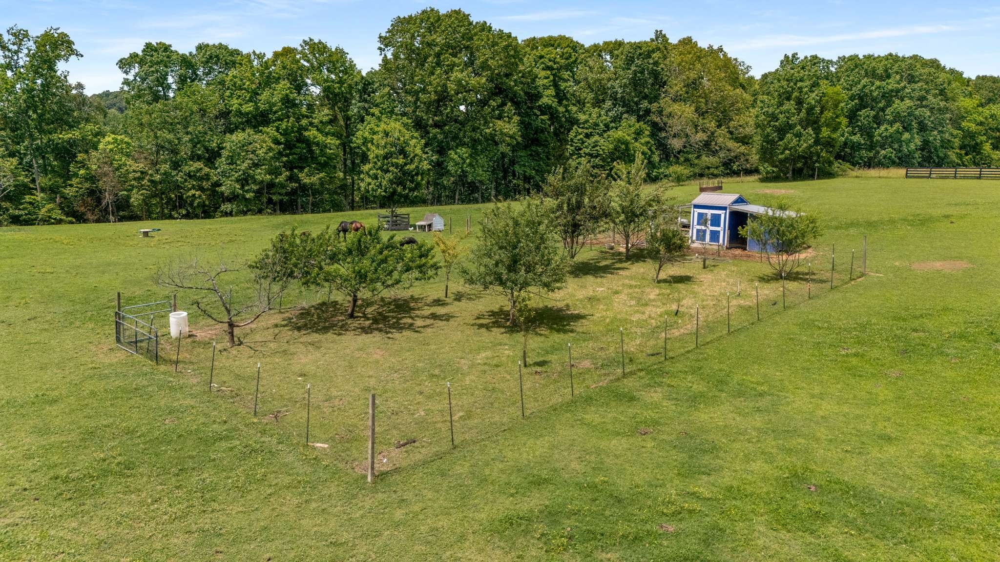 7811 Lampley Road Primm Springs, TN 38476 - Photo 57 of 69 Gallery Image 57