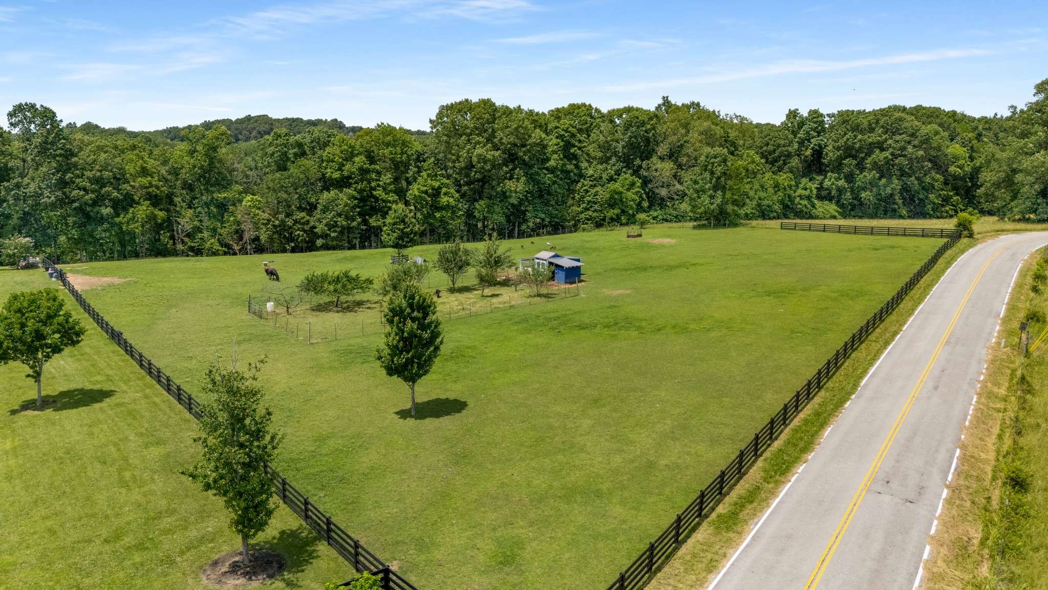 7811 Lampley Road Primm Springs, TN 38476 - Photo 59 of 69 Gallery Image 59