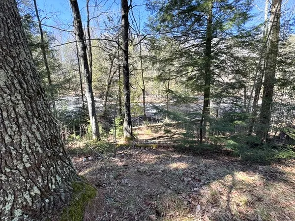 $105,000 | 14089 US Frst Service Road 2067, Mountain, WI 54149
