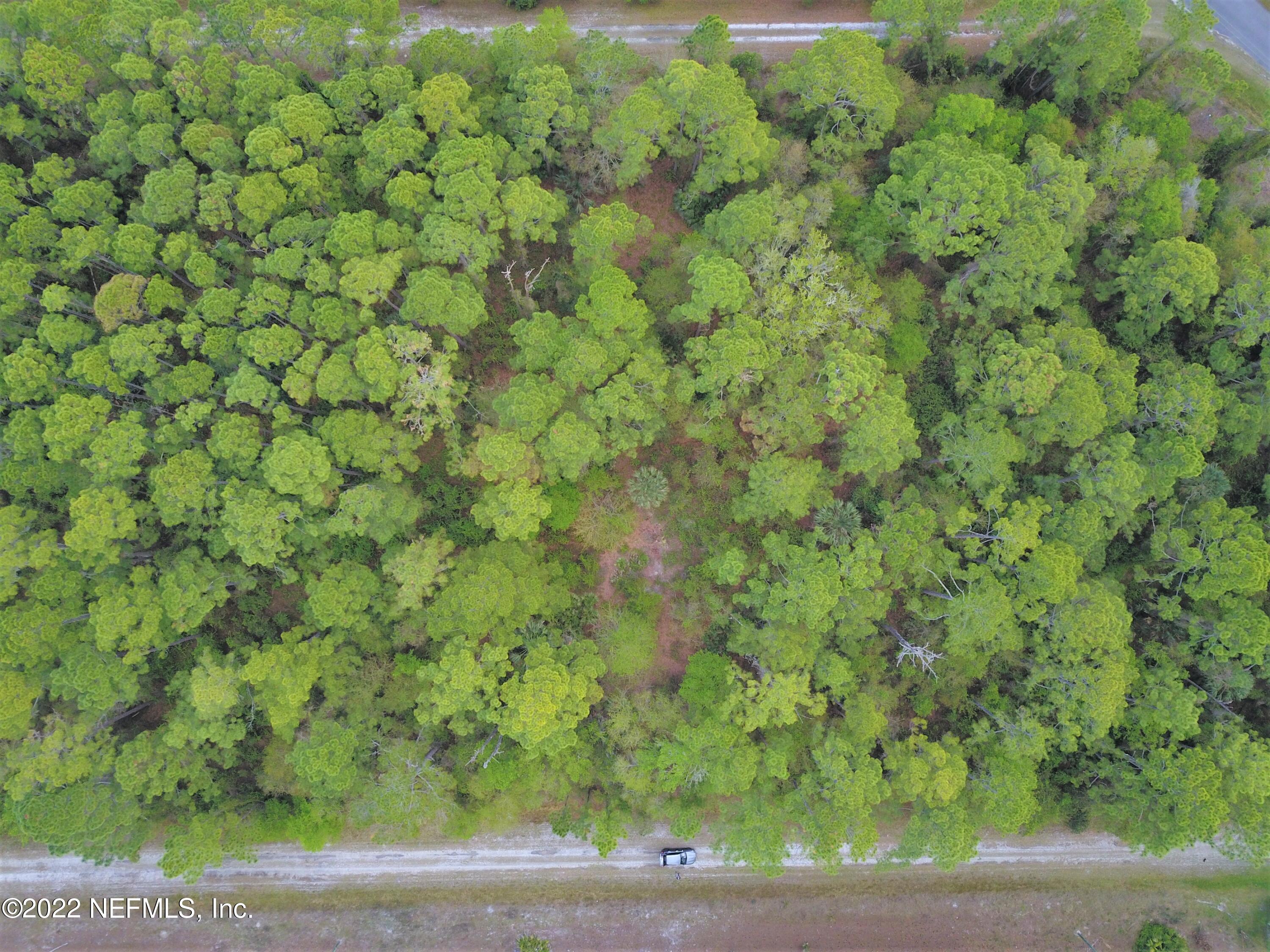 113 3rd Street Georgetown, FL 32139 - Photo 1 of 13 a view of a yard