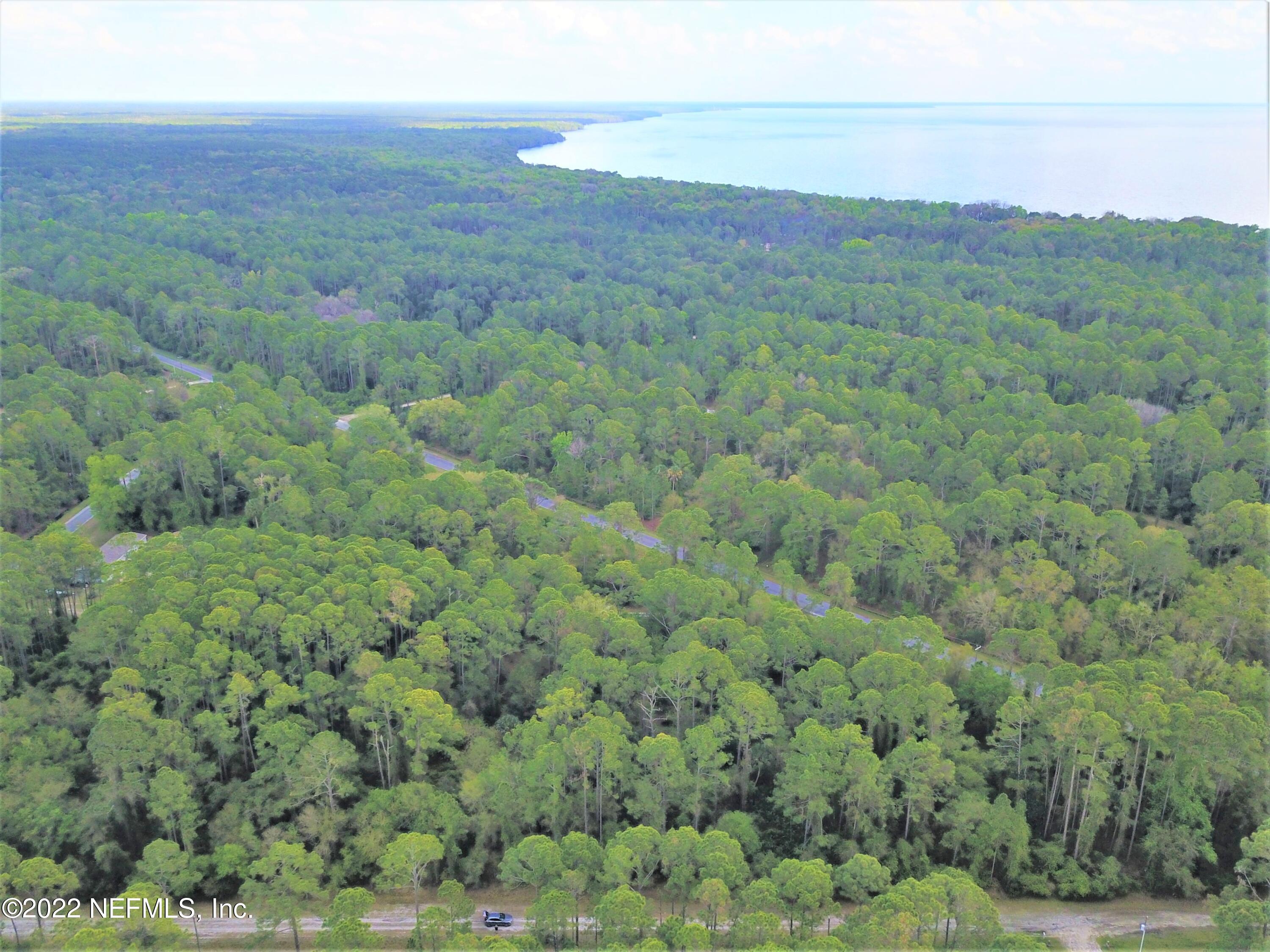 113 3rd Street Georgetown, FL 32139 - Photo 2 of 13 a view of a field with an trees