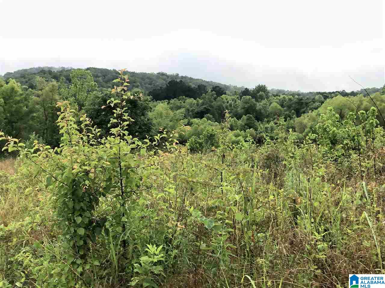 0 Old Downey Mill Road Anniston, AL 36207 - Photo 19 of 28