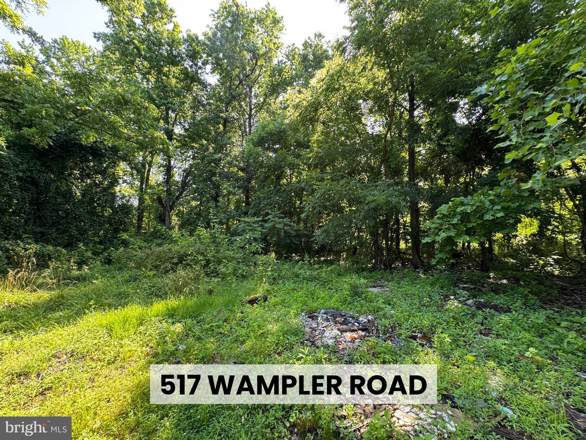 527 Wampler Road Baltimore, MD 21220 - Photo 9 of 21
