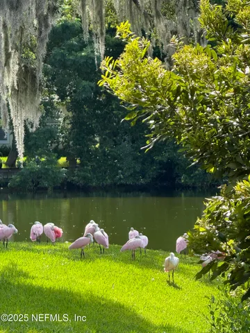 a view of a lake from a yard