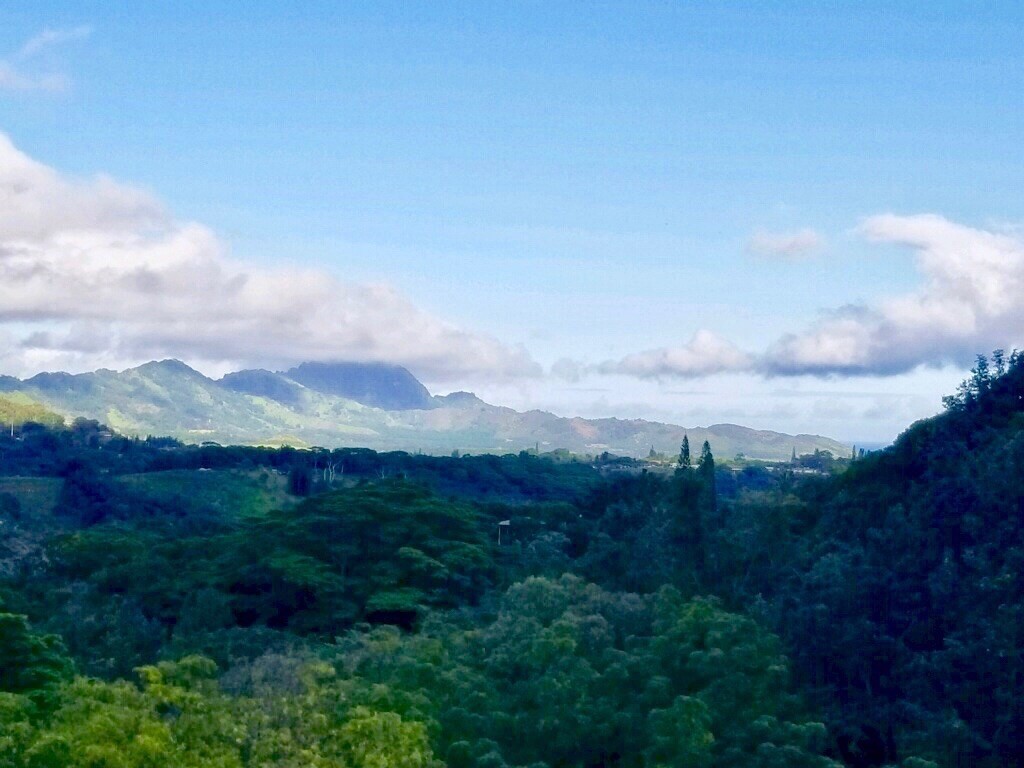 4320 Maka Road Kalaheo, HI 96741 - Photo 4 of 24 Gallery Image 4