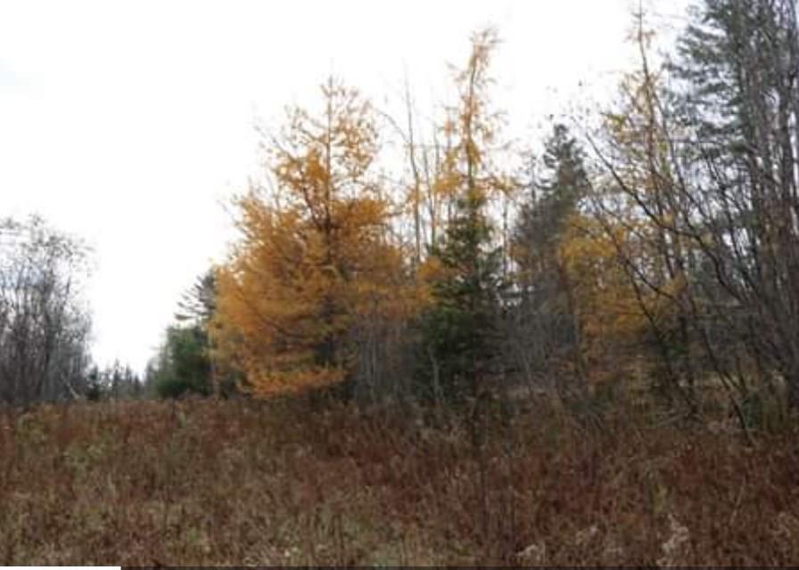 160 Silvers Mills Road Sangerville, ME 04479 - Photo 13 of 14 Photo