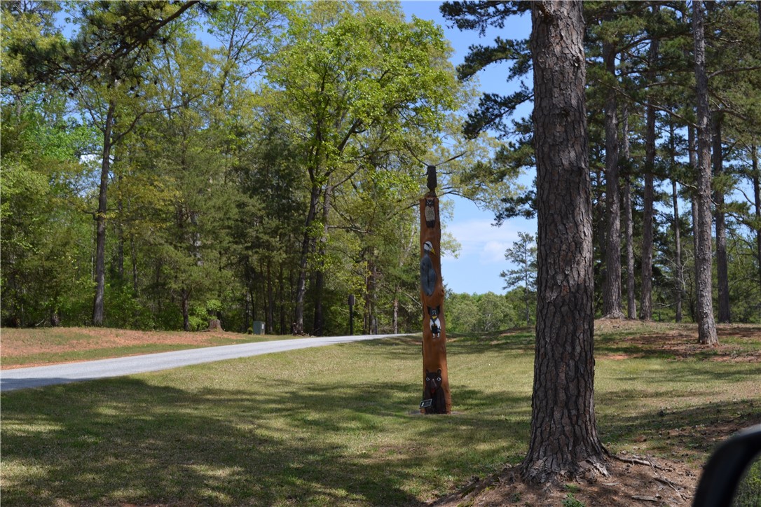 Lot 870 Nicklaus Road Westminster, SC 29693 - Photo 13 of 15 Gallery Image 13
