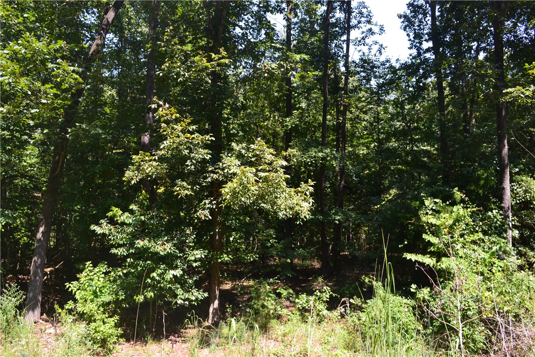 Lot 870 Nicklaus Road Westminster, SC 29693 - Photo 4 of 15 Gallery Image 4