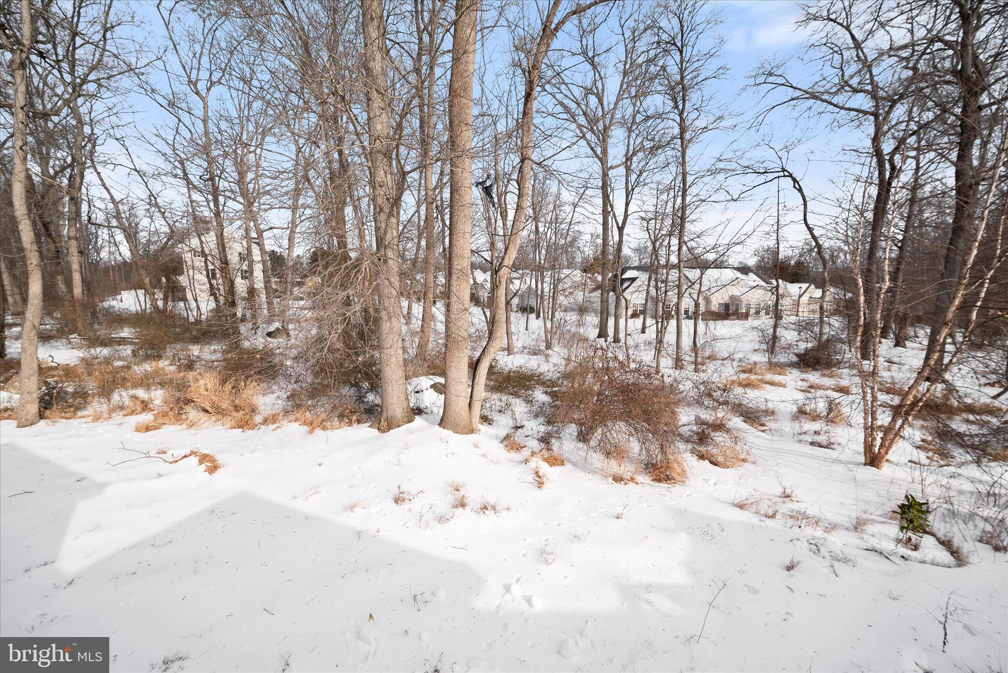 6428 Hickory Overlook, Unit 71 Columbia, MD 21044 - Photo 59 of 63 Rear View