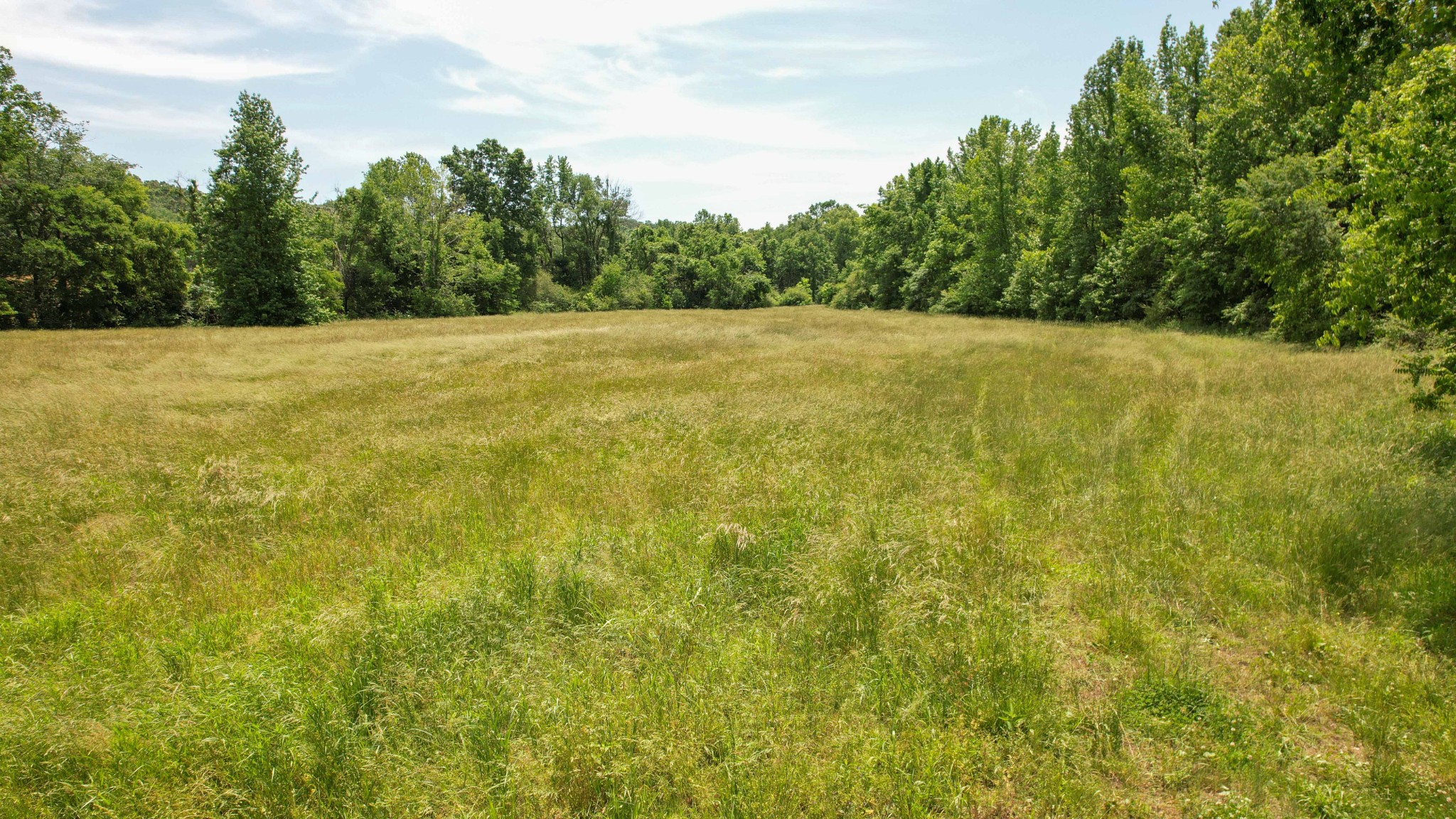 1267 Wades Branch Road Centerville, TN 37033 - Photo 71 of 73