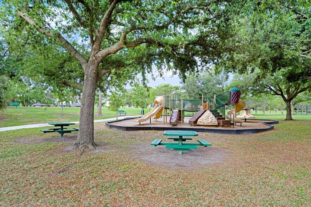 13602 South Village Drive, Unit 1205 Tampa, FL 33618 - Photo 36 of 51 a view of a park with large trees