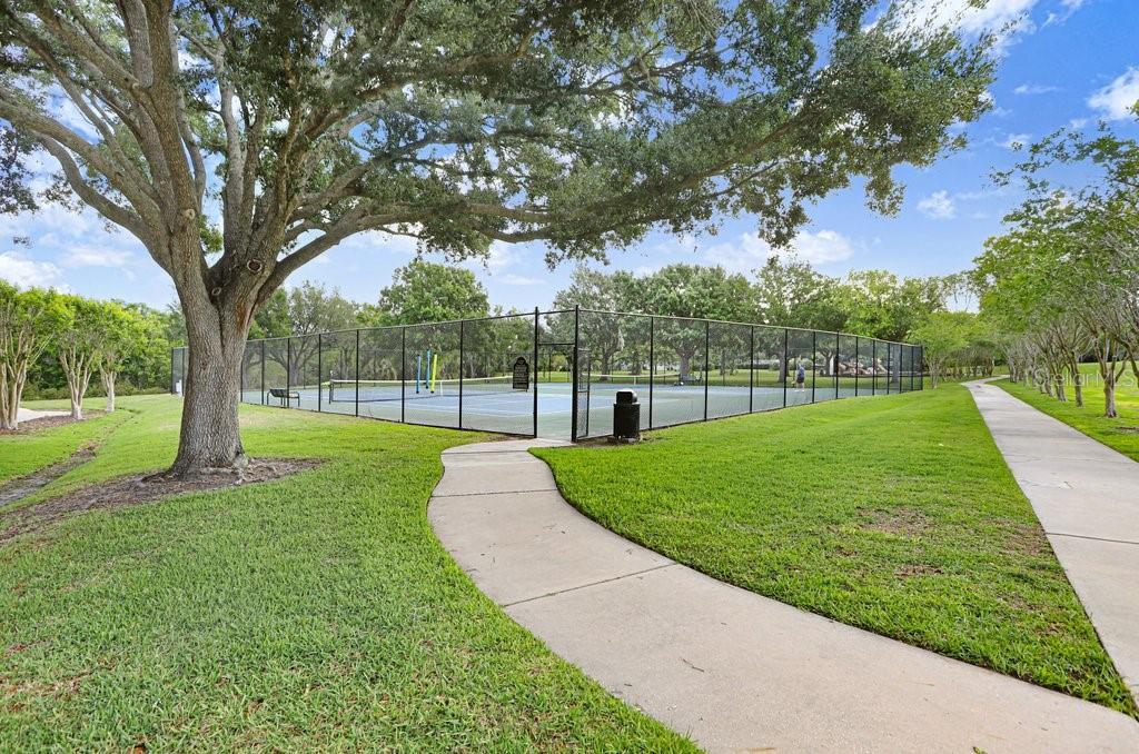 13602 South Village Drive, Unit 1205 Tampa, FL 33618 - Photo 37 of 51 a view of a yard with a large trees