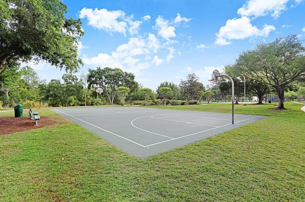 13602 South Village Drive, Unit 1205 Tampa, FL 33618 - Photo 39 of 51 a view of a playground and basketball court