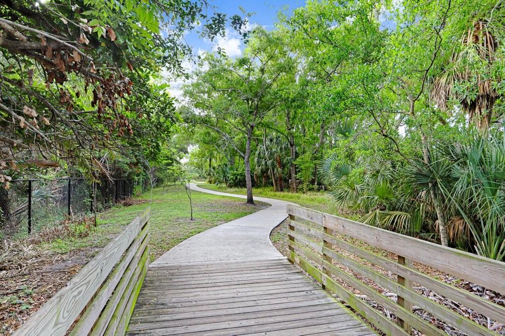 13602 South Village Drive, Unit 1205 Tampa, FL 33618 - Photo 42 of 51 a view of a yard with large trees