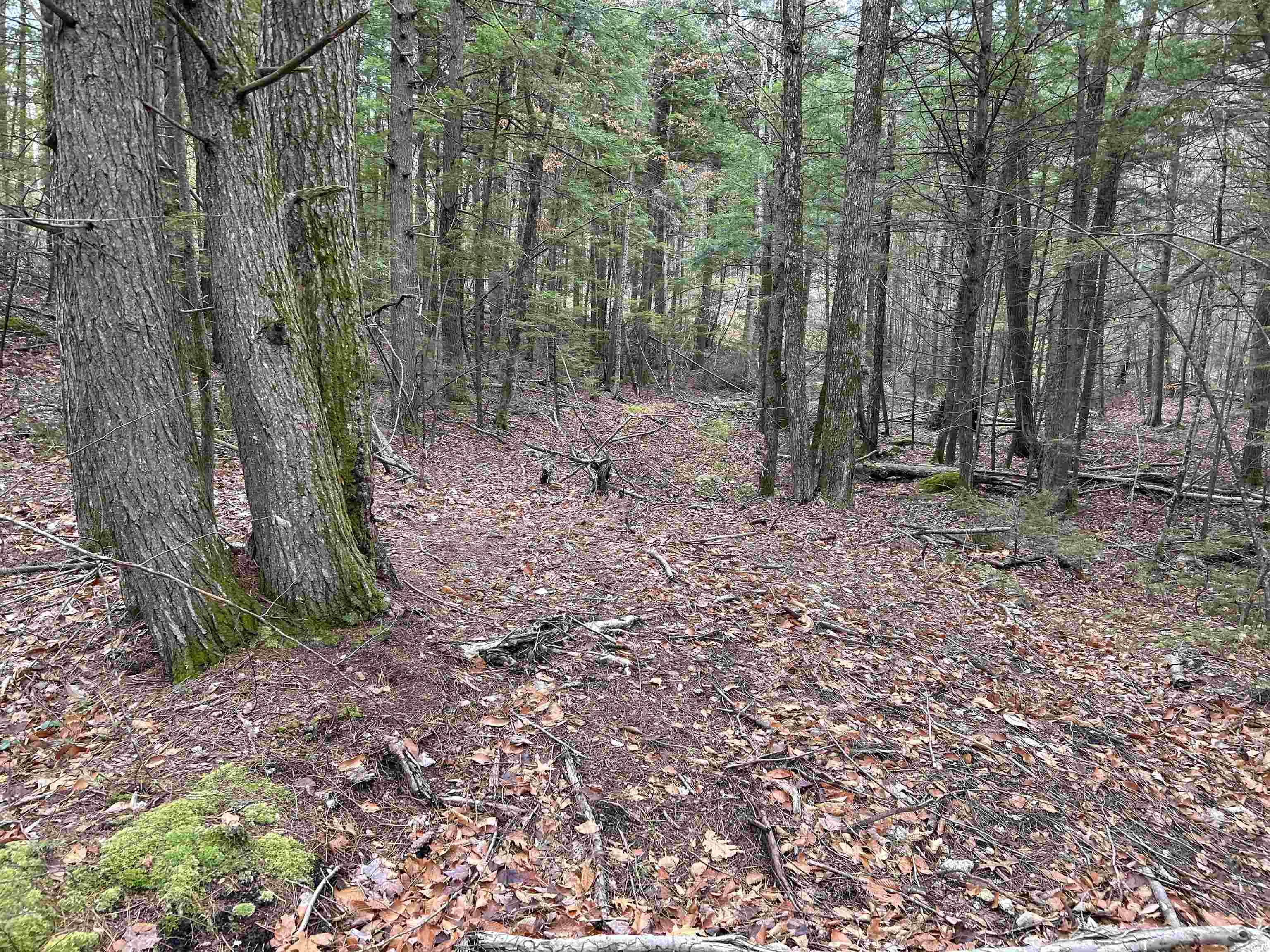 0 Pound Road North North Sutton, NH 03260 - Photo 21 of 51