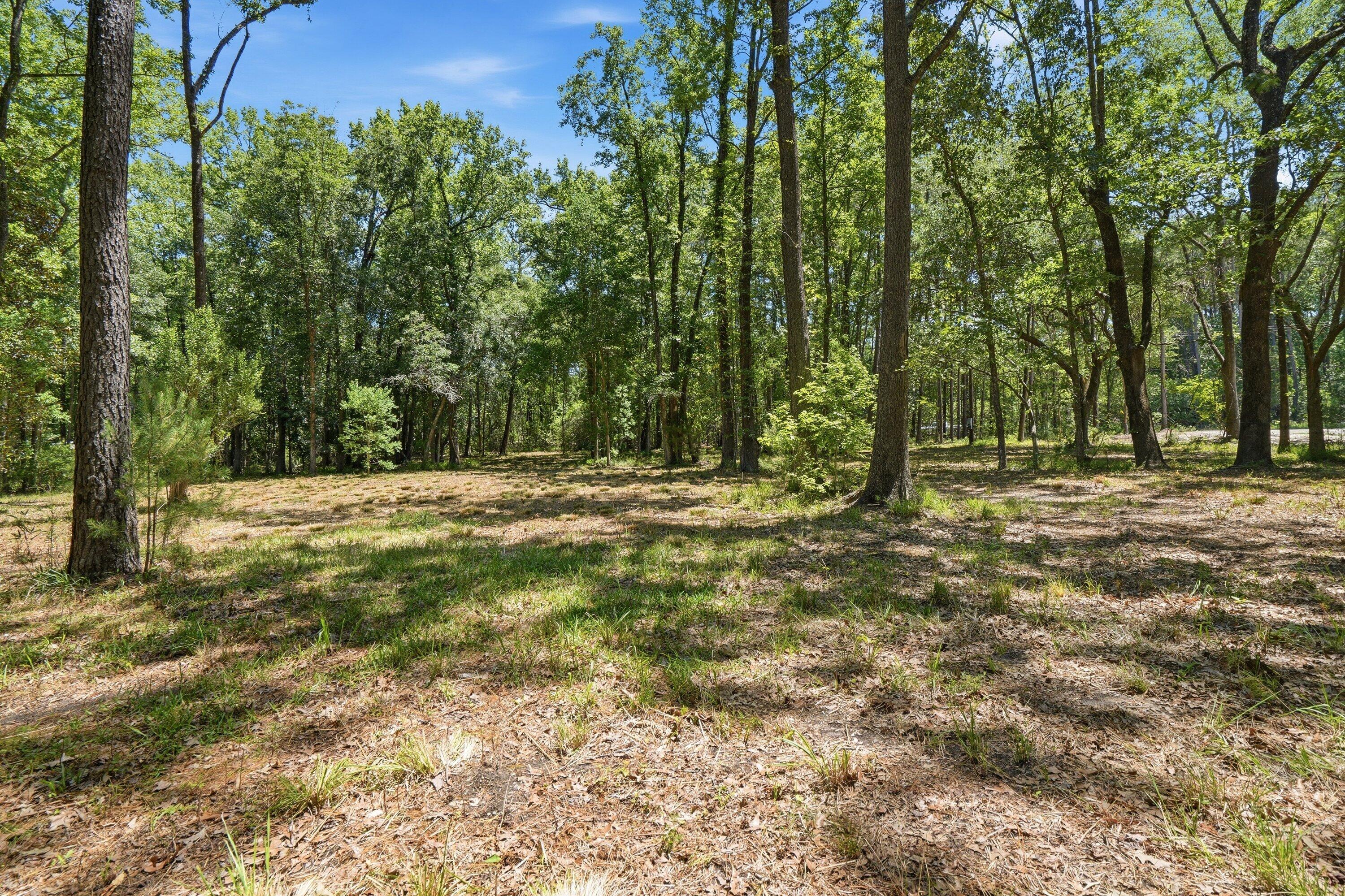 6023 Postell Drive Ravenel, SC 29470 - Photo 19 of 19